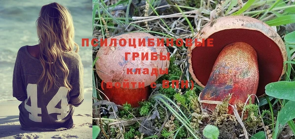 a pvp Верхний Тагил